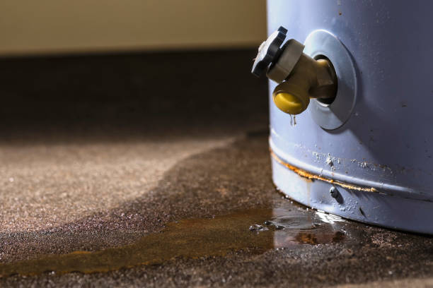 Best Residential water damage restoration  in Mount Pleasant, UT