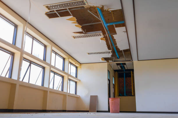 Best Emergency water damage restoration  in Mount Pleasant, UT