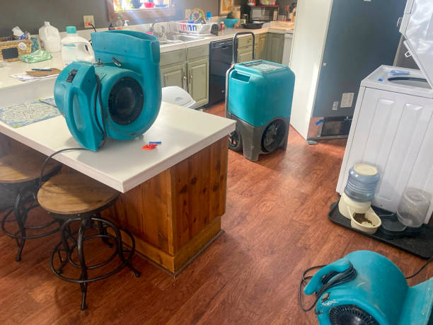 Best Water damage restoration near me  in Mount Pleasant, UT