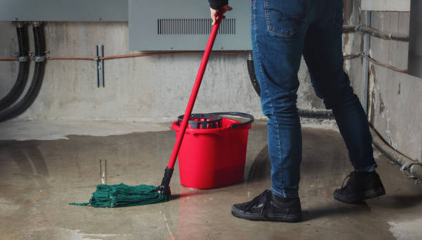 Sewage cleanup and water damage restoration in Mount Pleasant, UT