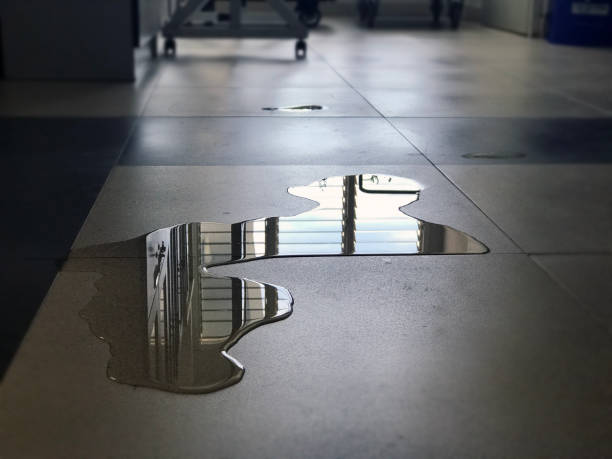 Best Professional water damage repair  in Mount Pleasant, UT