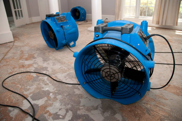 Mount Pleasant, UT Water damage restoration Company