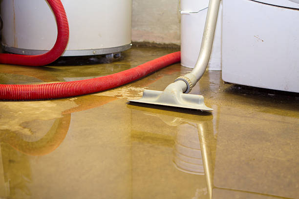 Best Professional water damage repair  in Mount Pleasant, UT