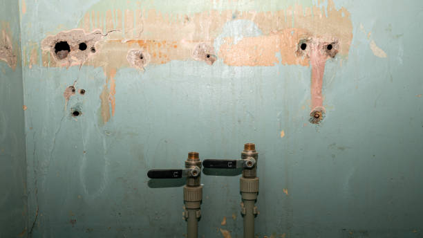 Best Basement water damage restoration  in Mount Pleasant, UT