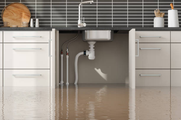 Best Commercial water damage restoration  in Mount Pleasant, UT